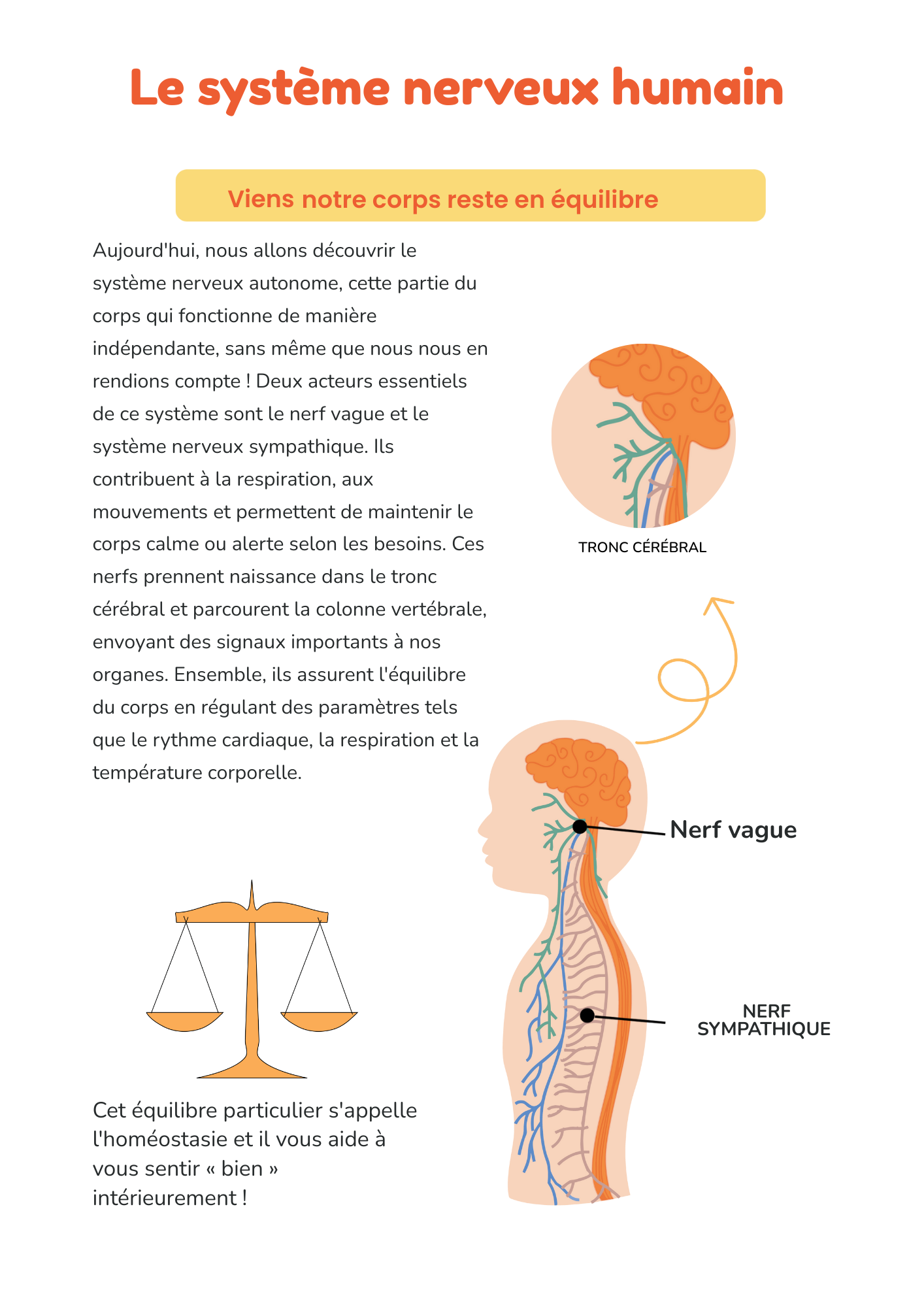 Mon premier cahier d'émotions : un voyage à la découverte du calme et du courage.