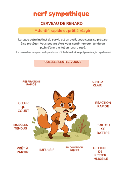 Mon premier cahier d'émotions : un voyage à la découverte du calme et du courage.