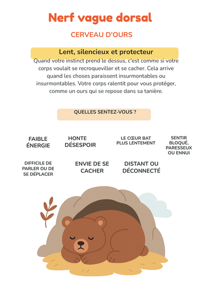 Mon premier cahier d'émotions : un voyage à la découverte du calme et du courage.