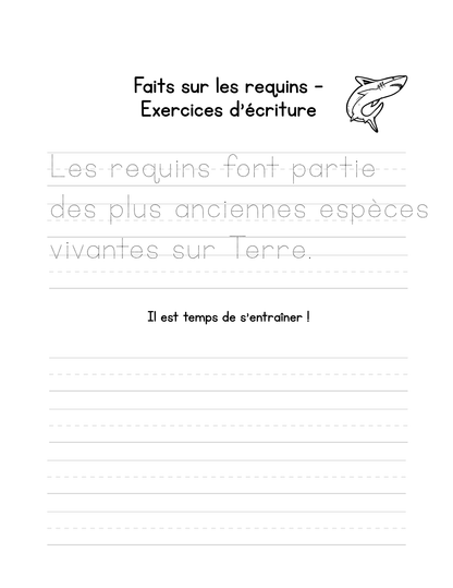Cahier d'écriture cursive pour enfants : l'art d'écrire avec style