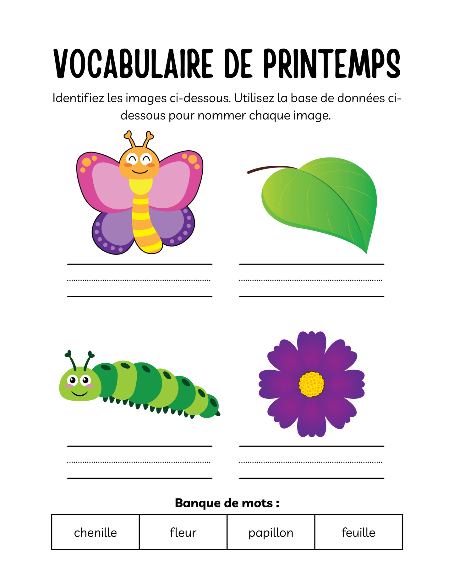 Cahier d'Activités de Printemps : L'Apprentissage Éclot avec la Nature